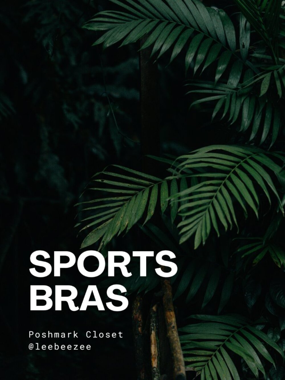 SHOP SPORTS BRAS!